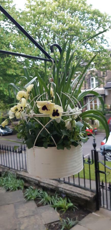 The Coppice Hotell Harrogate Exteriör bild